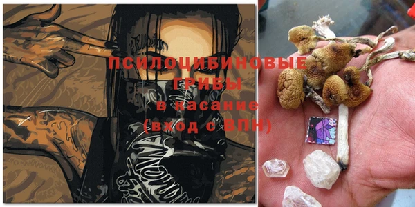 кокс Богданович